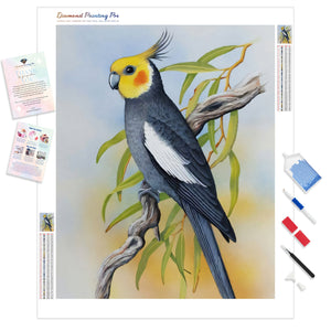 Cockatiel | Diamond Painting