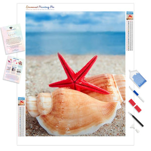 Shells and Starfish on Beach | Diamond Painting