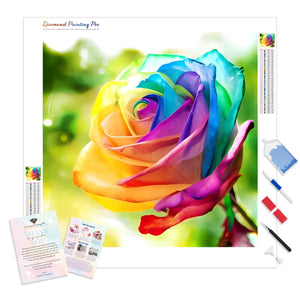 Rainbow Flower | Diamond Painting