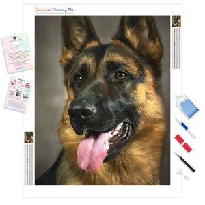 German Shepherd Dog | Diamond Painting