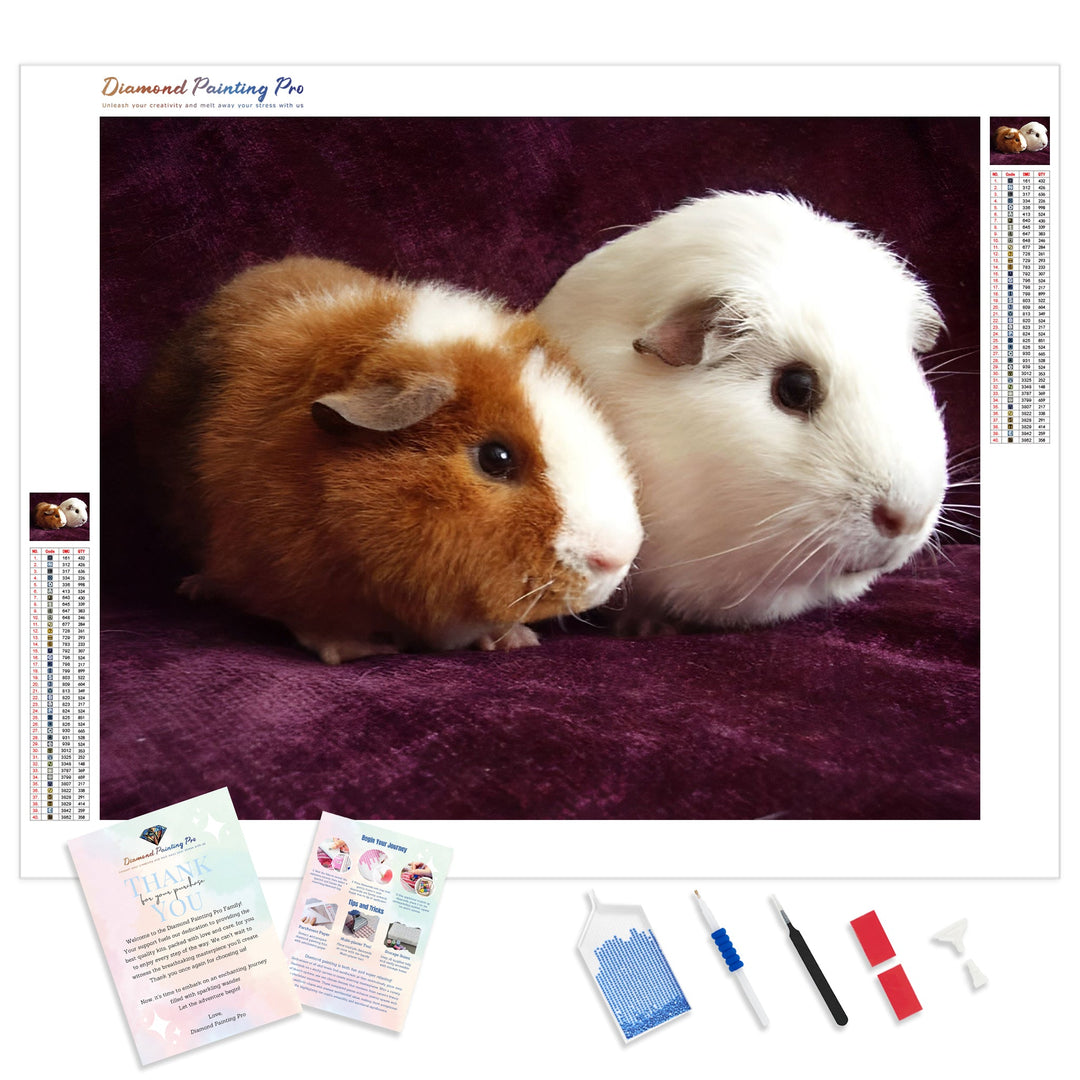 Guinea Pigs | Diamond Painting Kit - Full Drill - Square or Round Diamonds with AB Drills Option