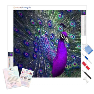 Purple and Blue Oil Painting Styles Peacock | Diamond Painting