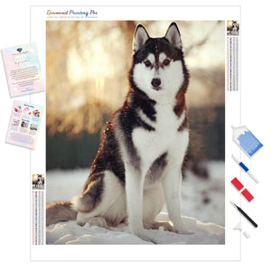 Snow Dog | Diamond Painting