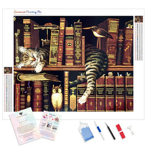 The Cat Sleeping On Shelf | Diamond Painting