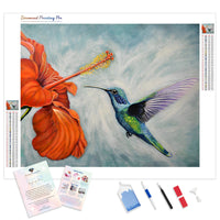 Hummingbird | Diamond Painting