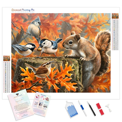 Squirrel With Birds | Diamond Painting