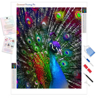 Be a Peacock | Diamond Painting Kit - Full Drill - Square or Round Diamonds with AB Drills Option