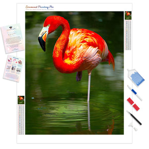 Flamingo Reflection | Diamond Painting