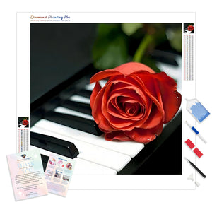 Black Piano Flower | Diamond Painting