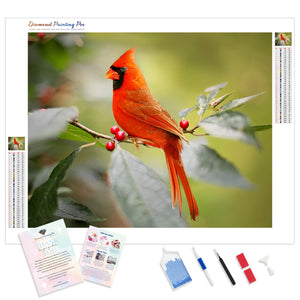 Cardinal Bird Resting | Diamond Painting