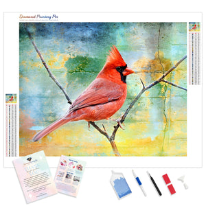 Northern Cardinal Resting | Diamond Painting