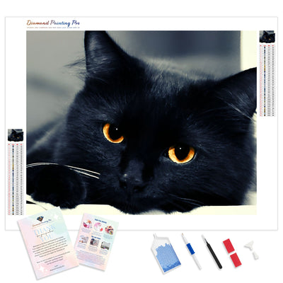 Black Cat | Diamond Painting Kit - Full Drill - Square or Round Diamonds with AB Drills Option