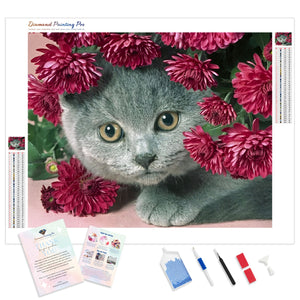 Cat giving Flowers | Diamond Painting