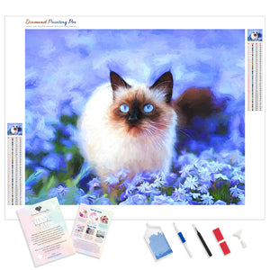 Chawer Cats | Diamond Painting