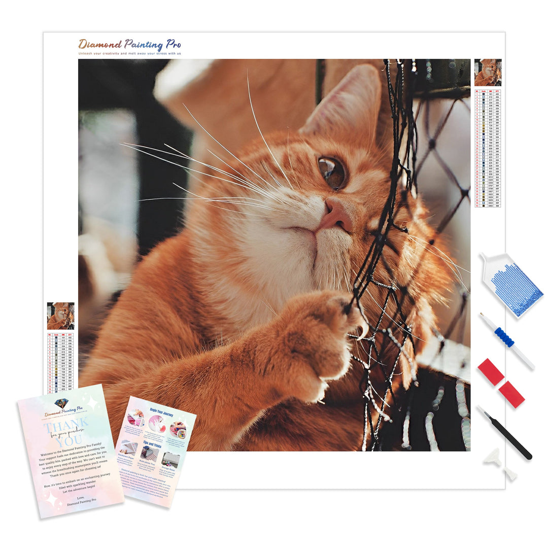 Cute Orange Cat | Diamond Painting Kit - Full Drill - Square or Round Diamonds with AB Drills Option