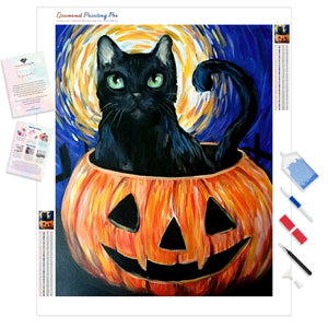 Halloween Cat in Pumpkin | Diamond Painting