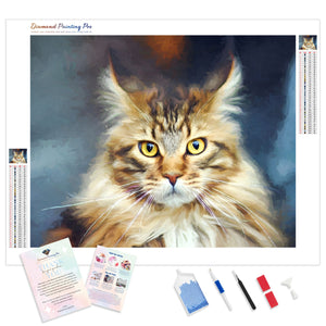 Maine Coon Gaze | Diamond Painting