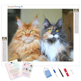 Maine Coon Kitty | Diamond Painting Kit - Full Drill - Square or Round Diamonds with AB Drills Option