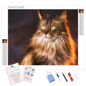 Maine Coon | Diamond Painting