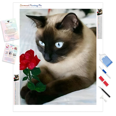 Romeo Kitty | Diamond Painting