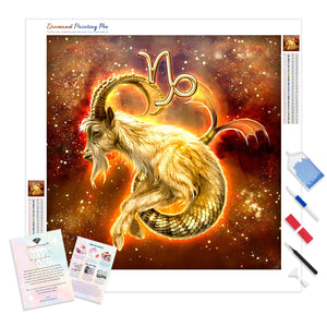 Capricorn Constellation | Diamond Painting