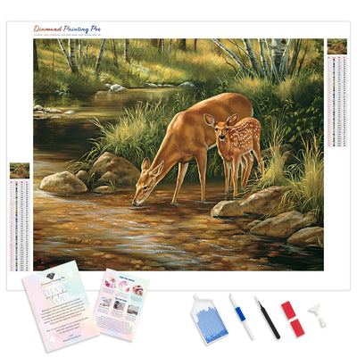 Deer Drinking Water | Diamond Painting Kit - Full Drill - Square or Round Diamonds with AB Drills Option