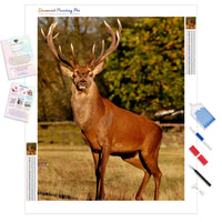 Red Deer | Diamond Painting