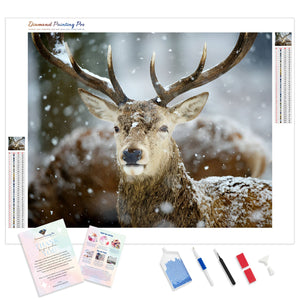 Winter Deer | Diamond Painting