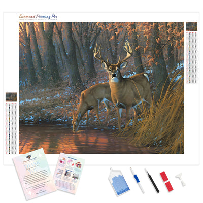 Woodland Waterhole Deer | Diamond Painting Kit - Full Drill - Square or Round Diamonds with AB Drills Option