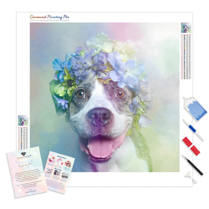 Colorful Dog Pit Bull | Diamond Painting