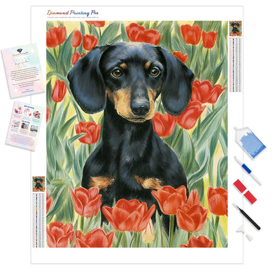 Dachshund Flower | Diamond Painting