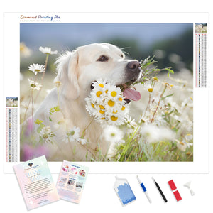 White Dog Amongst Flowers | Diamond Painting