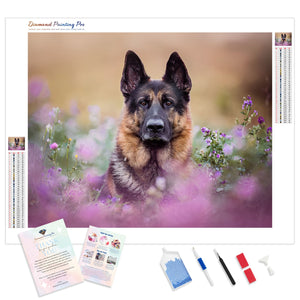 German Shepherd Dog Outdoor | Diamond Painting