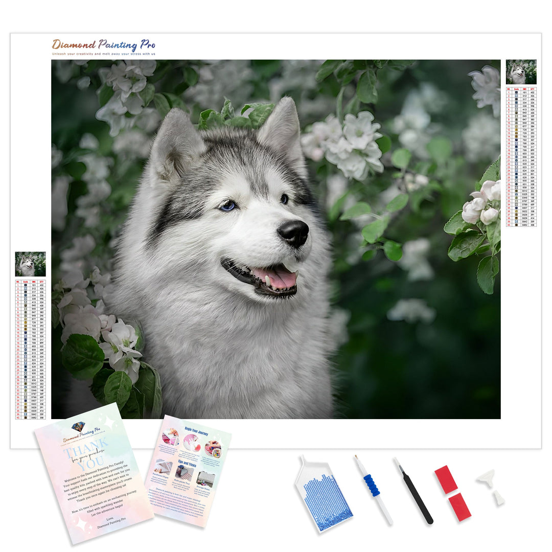 Husky Dog | Diamond Painting Kit - Full Drill - Square or Round Diamonds with AB Drills Option