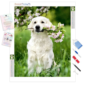 Labrador with Flowers | Diamond Painting