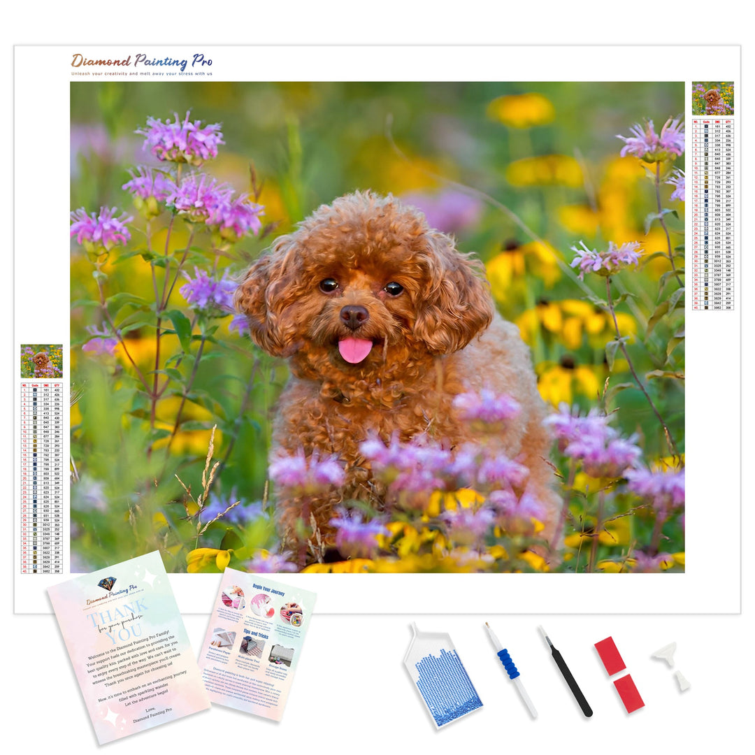 Poodle Puppy | Diamond Painting Kit - Full Drill - Square or Round Diamonds with AB Drills Option