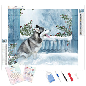 Snow Husky Dog | Diamond Painting