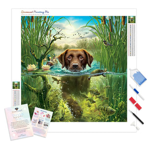 Swimming Dog | Diamond Painting