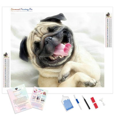 Hysterical Pug | Diamond Painting Kit - Full Drill - Square or Round Diamonds with AB Drills Option