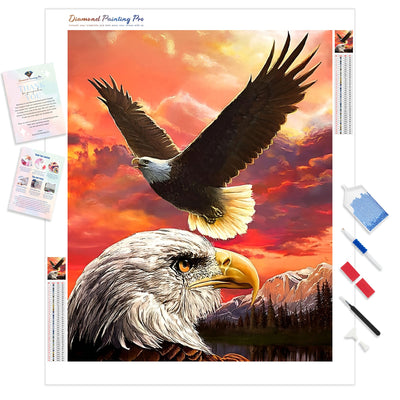 Flying Eagles | Diamond Painting