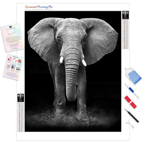 African Elephant | Diamond Painting