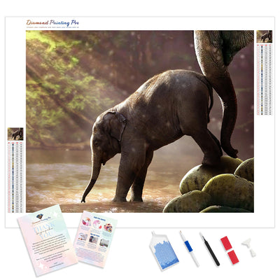 Baby Elephant Bath | Diamond Painting