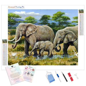 African Safari | Diamond Painting