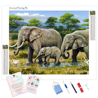 African Safari | Diamond Painting Kit - Full Drill - Square or Round Diamonds with AB Drills Option