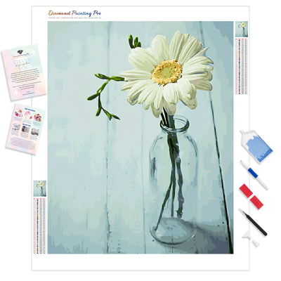 White Daisy | Diamond Painting