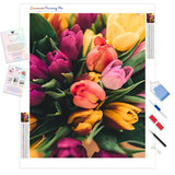 Colorful Tulips | Diamond Painting Kit - Full Drill - Square or Round Diamonds with AB Drills Option
