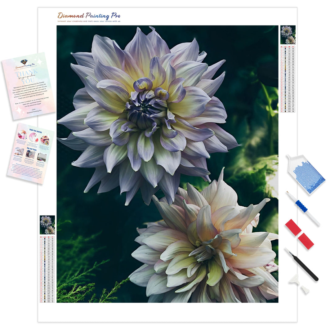 Dahlia Flowers | Diamond Painting Kit - Full Drill - Square or Round Diamonds with AB Drills Option