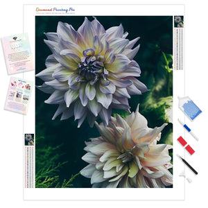 Dahlia Flowers | Diamond Painting