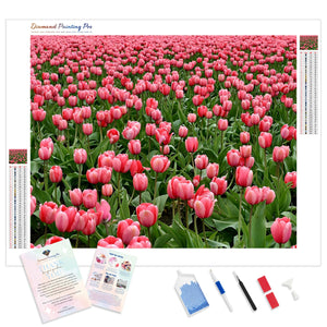 Pink Tulips Field | Diamond Painting