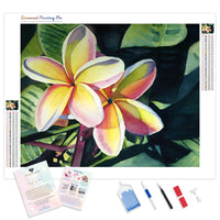 Rainbow Plumeria | Diamond Painting